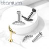 Piercing do brady / ucha TITAN (1,2 x 8 mm)