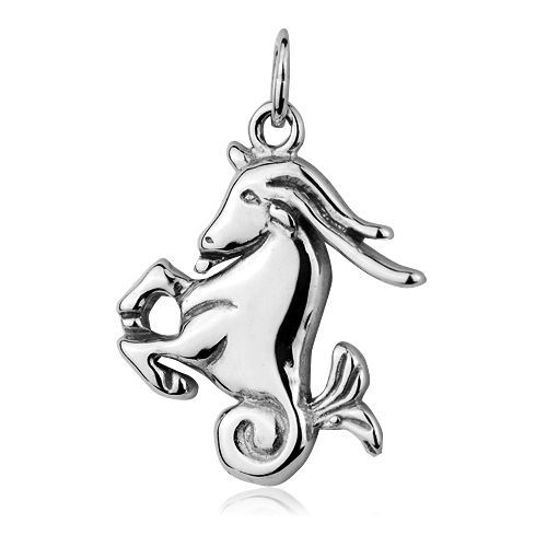 S4U Stříbrný přívěsek znamení KOZOROH - CS3001-1