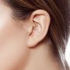 Piercing - podkova s kytičkami, čiré kamínky