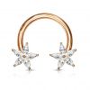 Piercing - podkova s kytičkami, čiré kamínky (gold)