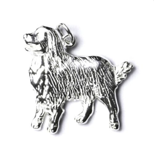 S4U Stříbrný přívěsek bernský salašnický pes - CS3119