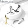 Piercing do brady / ucha TITAN černý (1,2 x 8 mm)