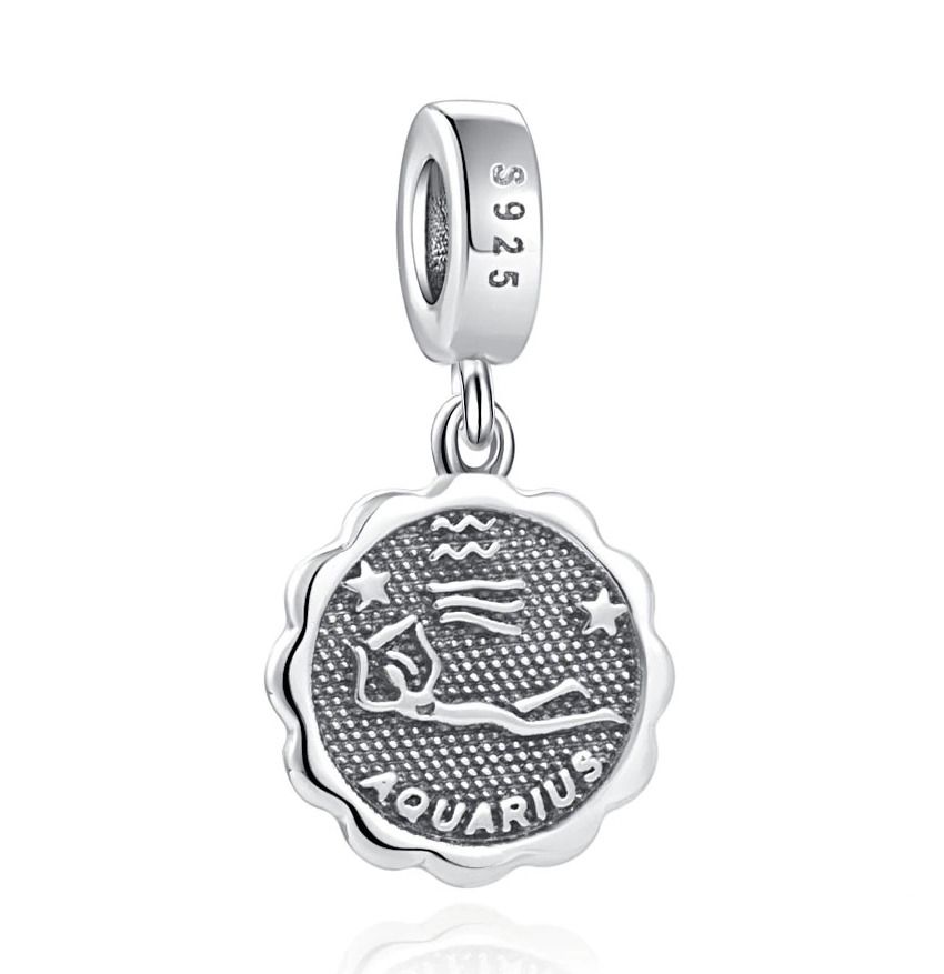 NUBIS Stříbrný přívěsek korálek znamení horoskopu (vodnář) - NB-8078-02