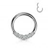 Segment kruh se zirkony, septum piercing 1,2 x 10 mm