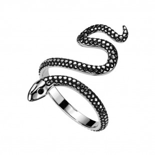 Ocelový prsten had