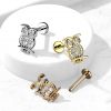 Piercing do brady - sovička (1,2 x 6 mm)