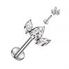 Piercing do brady - labreta TITAN (čirá)