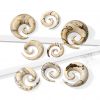 Plug do ucha Tamarind wood (16 mm)