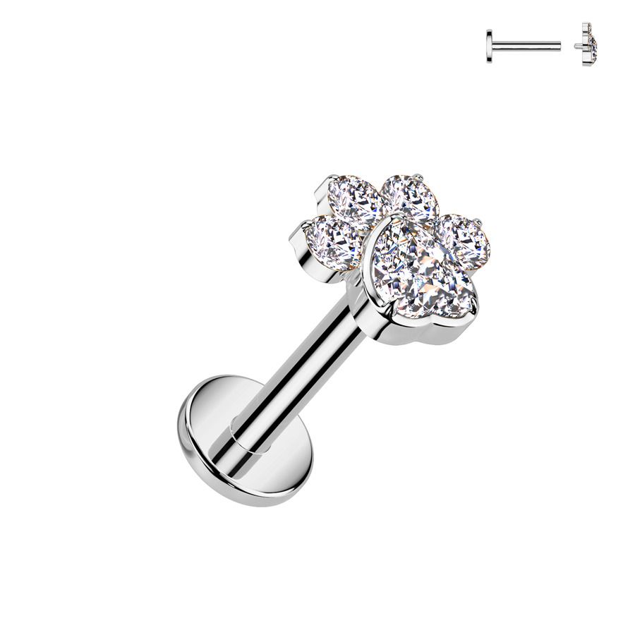 Piercing do brady - labreta tlapka TITAN (1,2 x 8 mm) - TIT1423-1208