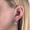 Stříbrné visací náušnice kapky se Swarovski krystaly 31305.3 violet