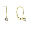 Pozlacené visací náušnice se Swarovski krystalem 31322.1