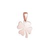 Pozlacený stříbrný přívěsek čtyřlístek lesklý 64094 rose gold