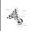 Cartilage piercing -  helix / tragus