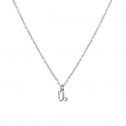 Ocelový náhrdelník, znamení horoskopu (kozoroh)