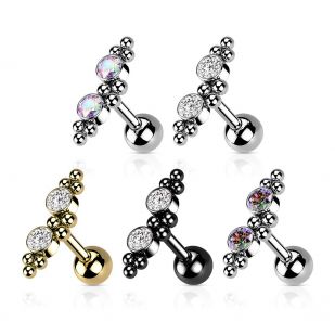 Cartilage piercing do ucha