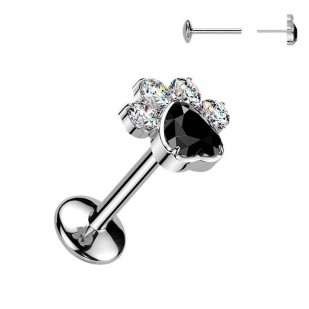 Piercing do brady tlapka - PUSH IN labreta TITAN