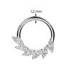 Segment kruh - septum / helix / cartilage / tragus piercing TITAN (1,2 x 10 mm)