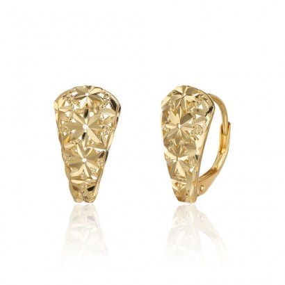 Náušnice SVLE3520XJ6GO00