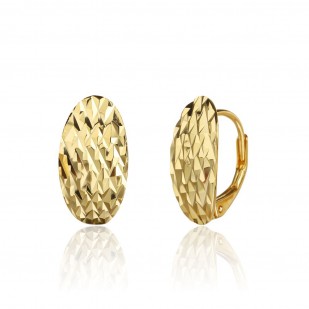 Náušnice SVLE3529XJ6GO00