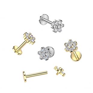 Piercing do brady - labreta kytička TITAN