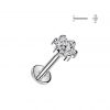 Zlacený piercing do brady - labreta kytička TITAN (1,2 x 6 mm)
