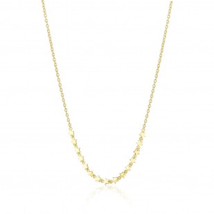 Náhrdelník SVLN0704S75GO45