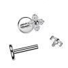 Piercing do brady - labreta TITAN (1,2 x 8 mm)