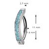 Piercing do pupíku s dekorativním štítem TITAN (čirá)