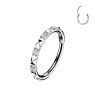 Piercing segment kruh TITAN s čirými zirkony
