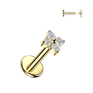 Piercing do brady - labreta TITAN