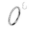 TITAN piercing - segment kruh (1,2 x 10 mm)