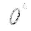 TITAN piercing - segment kruh (1,2 x 10 mm)