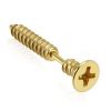 Falešný piercing do ucha - šroub (zlatá)