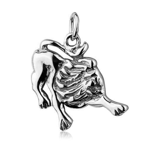 S4U Stříbrný přívěsek znamení LEV - CS3001-8