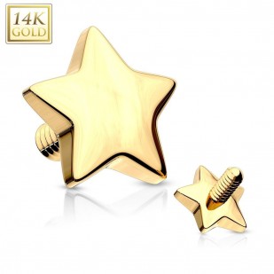 Zlatý piercing - dermál hvězdička 4 mm, Au 585/1000