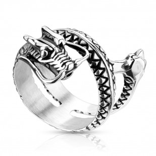 Pánský ocelový prsten - drak