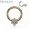 Segment kruh - septum piercing TITAN