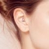 Segment kruh - septum piercing TITAN