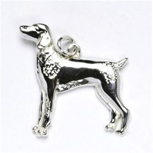 S4U Stříbrný přívěsek pes ohař - CS3107