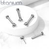 Piercing do brady - labreta titan (1,0 x 8 mm)