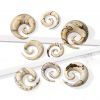 Plug do ucha Tamarind wood (8 mm)