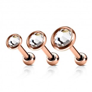 Cartilage piercing do ucha
